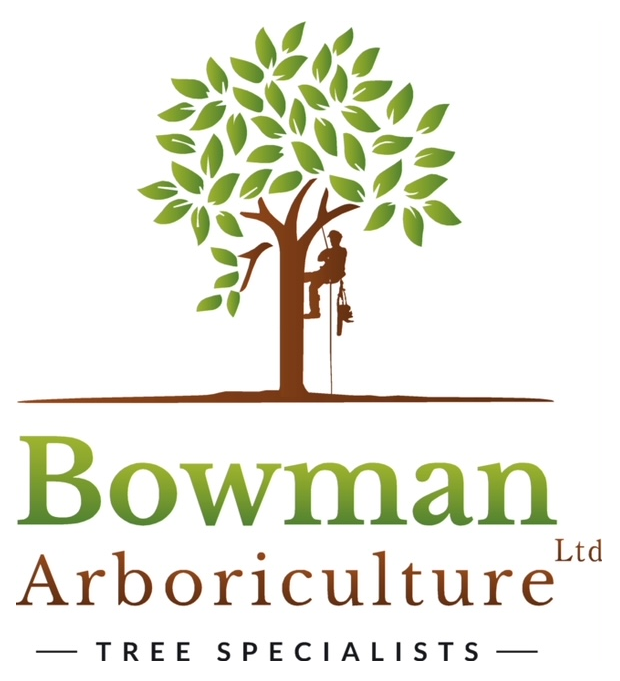 Bowman Arboriculture